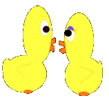 love ducks